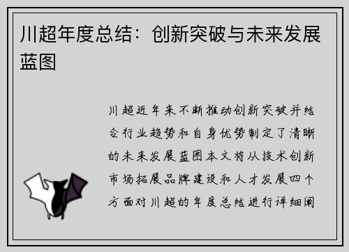 川超年度总结：创新突破与未来发展蓝图